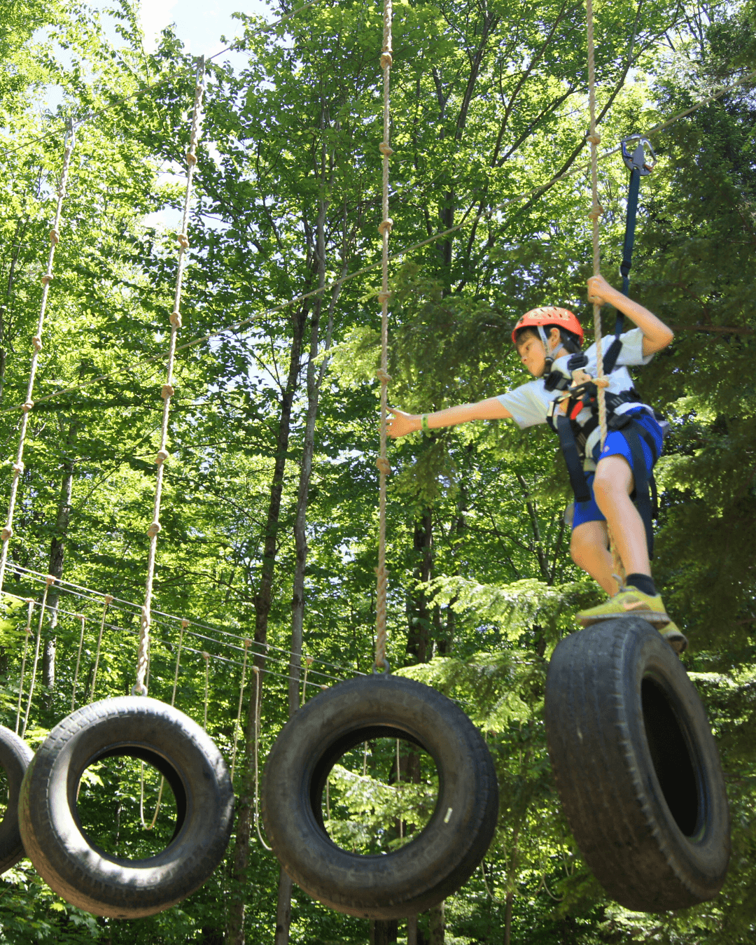 Guest on treetop adventure course
